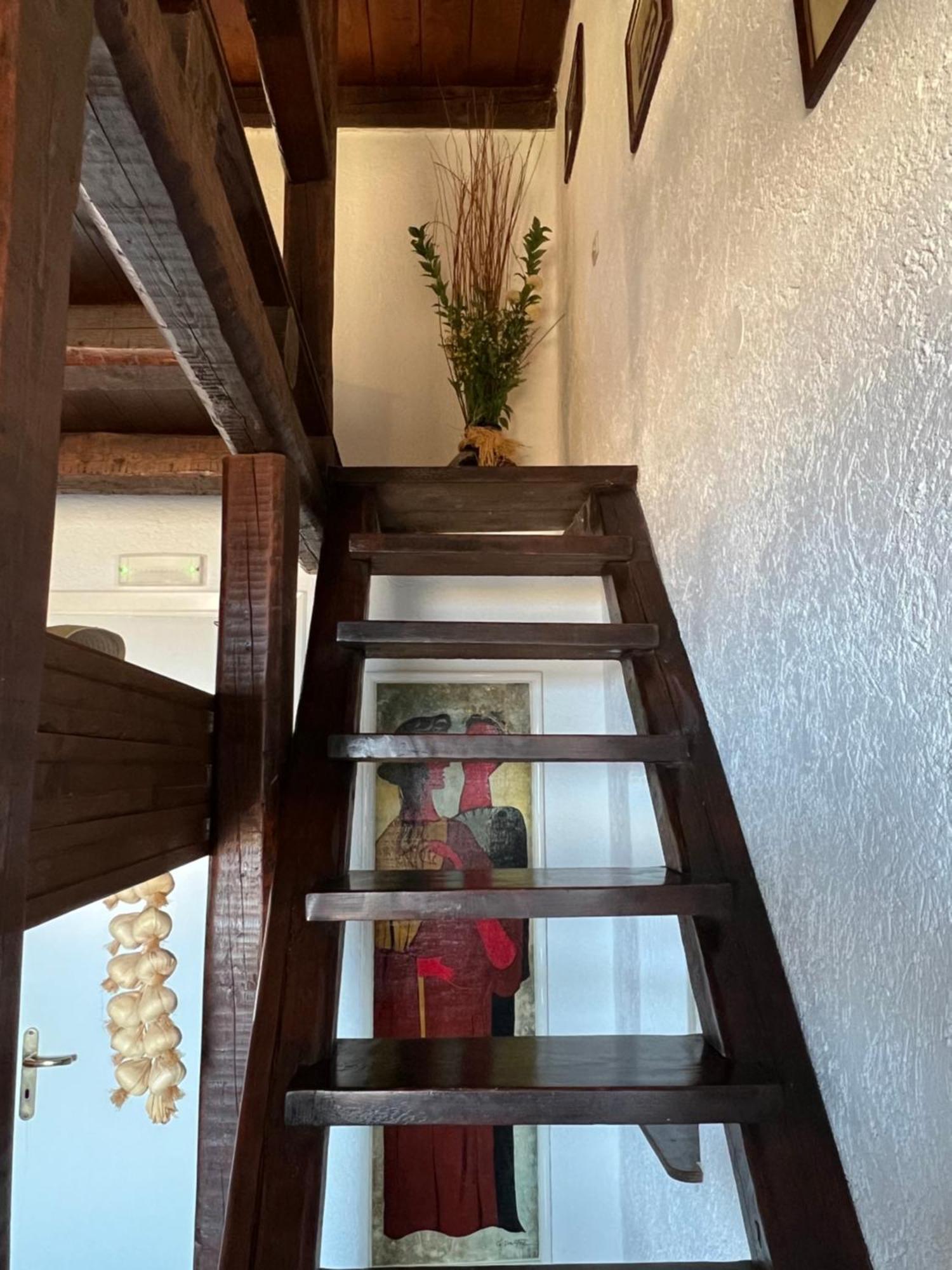 Ioulis Pasithea Houseヴィラ エクステリア 写真